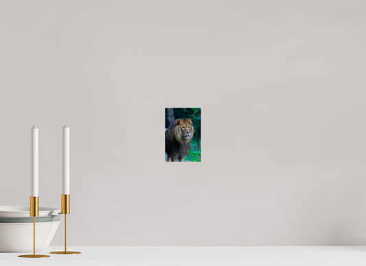 De Blik van de Koning (Photo Print On Fuji Crystal DP II)