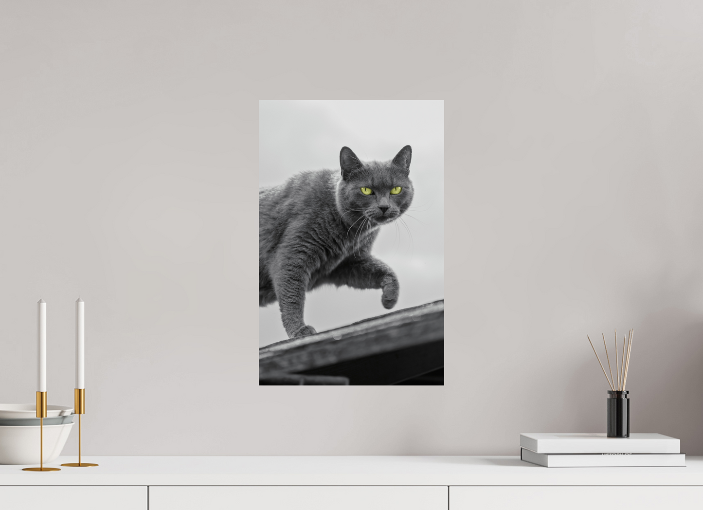 Grijze Kat Print | Kleurenspat Wanddecoratie Foto (Print On Fuji Crystal DP II)