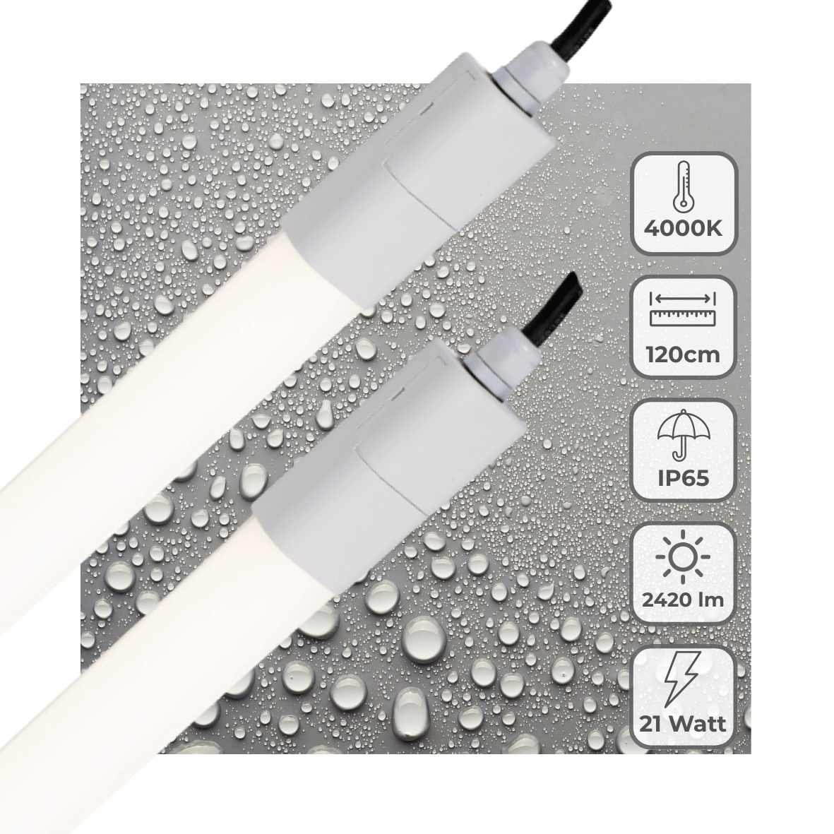 2 PACK - LED's Light LED TL verlichting compleet 120 cm - Geschikt voor buiten en binnen - 2420 lm