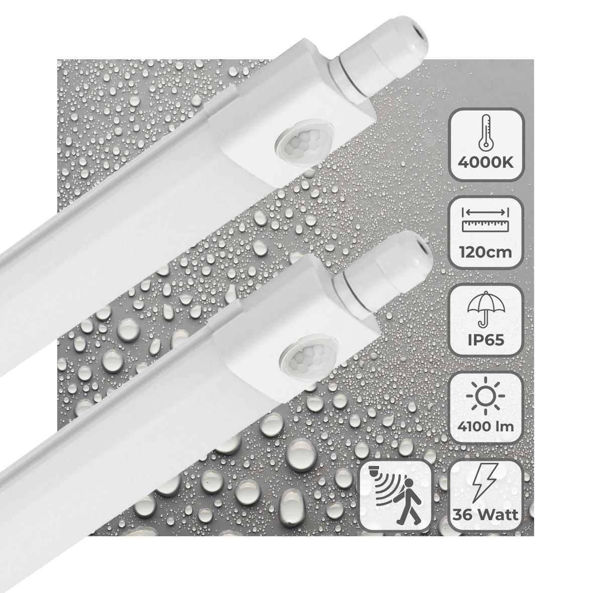 2 PACK - LED's Light LED TL verlichting met sensor 120 cm - Bewegingssensor en bewegingsdetectie - 4100 lm