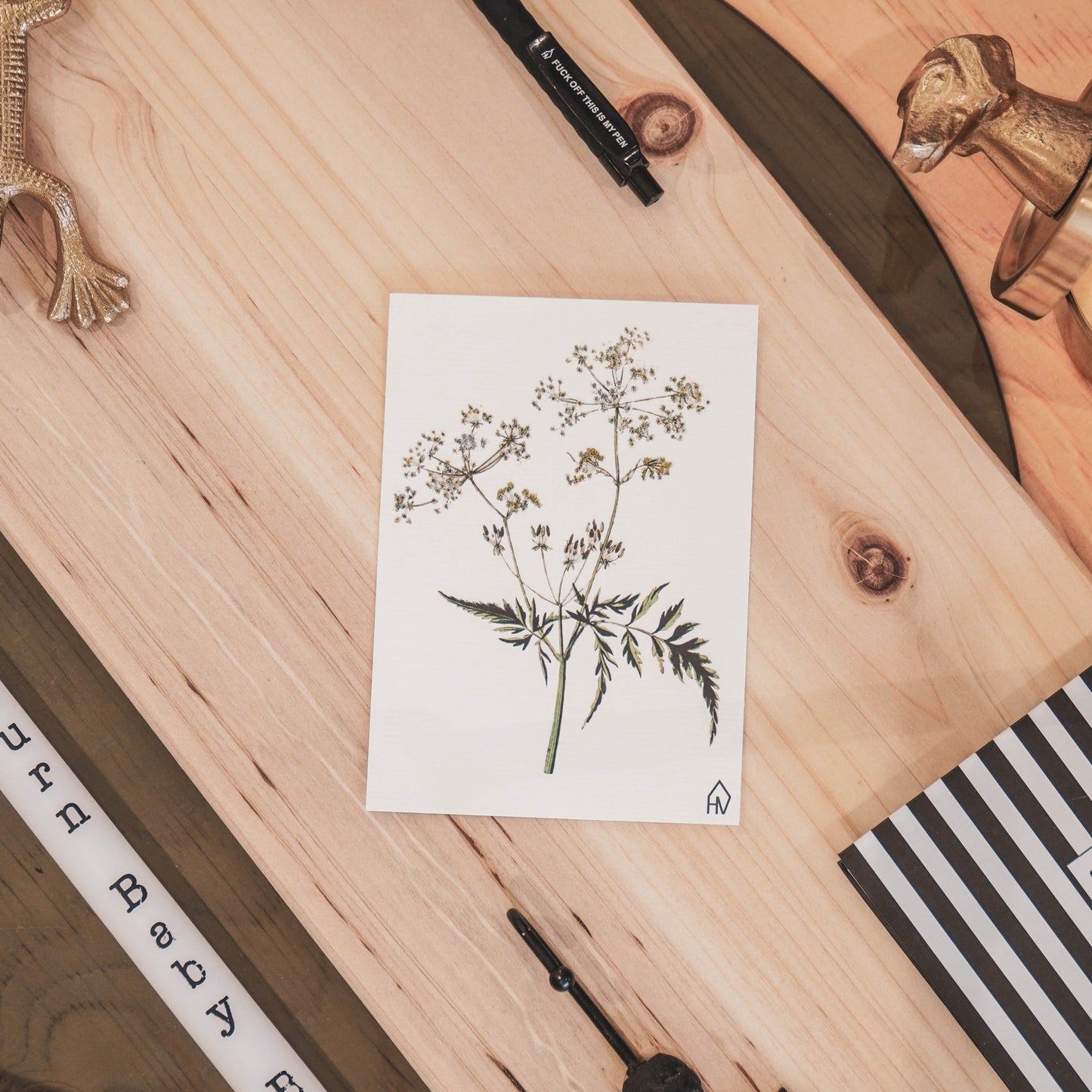 Ansichtkaart - Fluitekruid - Papier - Set van 5 - A6