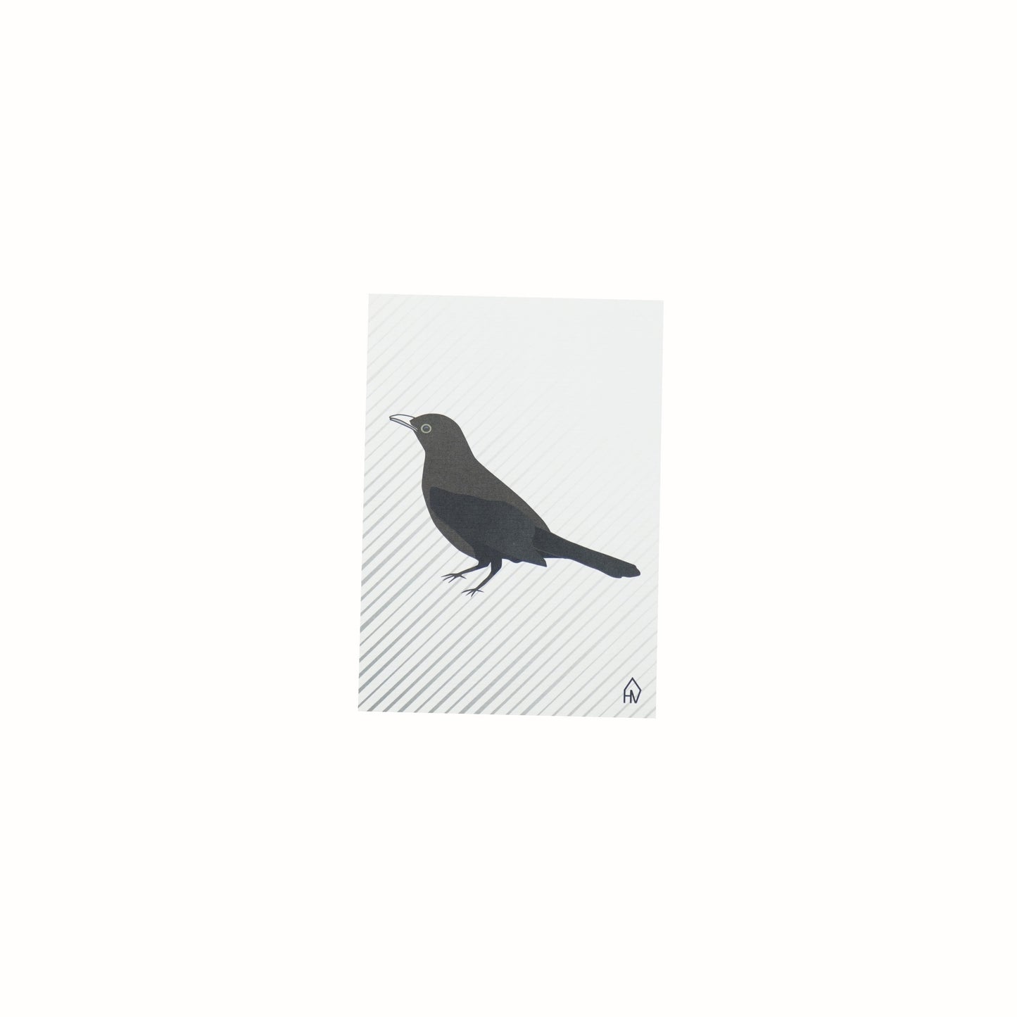 Ansichtkaart - Merel - Papier - Set van 5 - A6