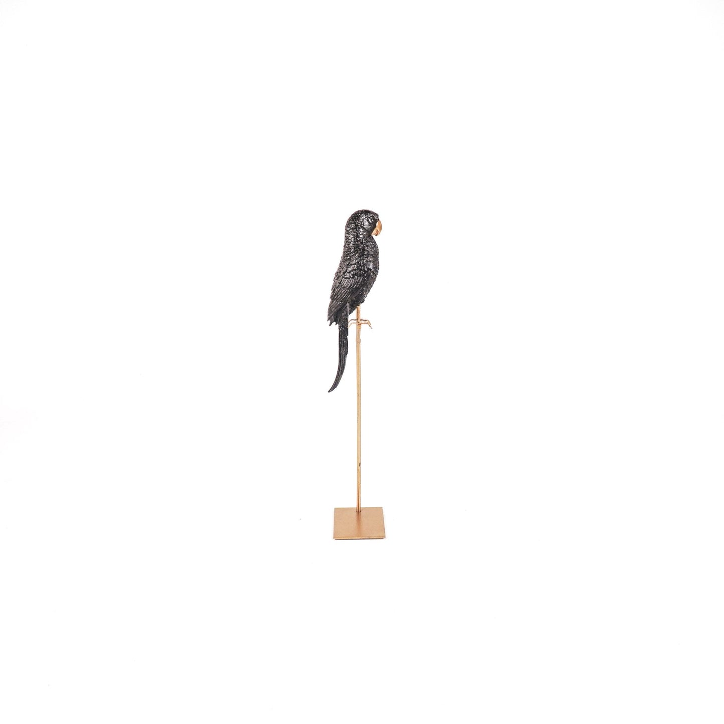 Ornament - Papegaai op Stok - Zwart/Goud - 8.5x11x44cm