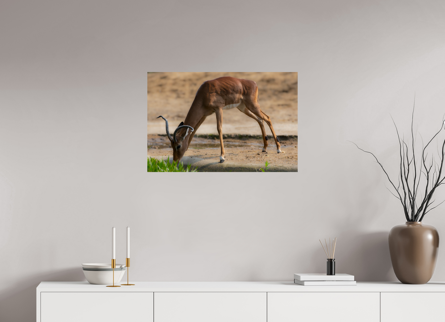 Impala aan het water (Photo Print On Fuji Crystal DP II)