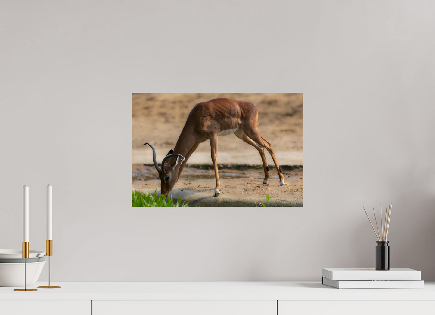 Impala aan het water (Photo Print On Fuji Crystal DP II)