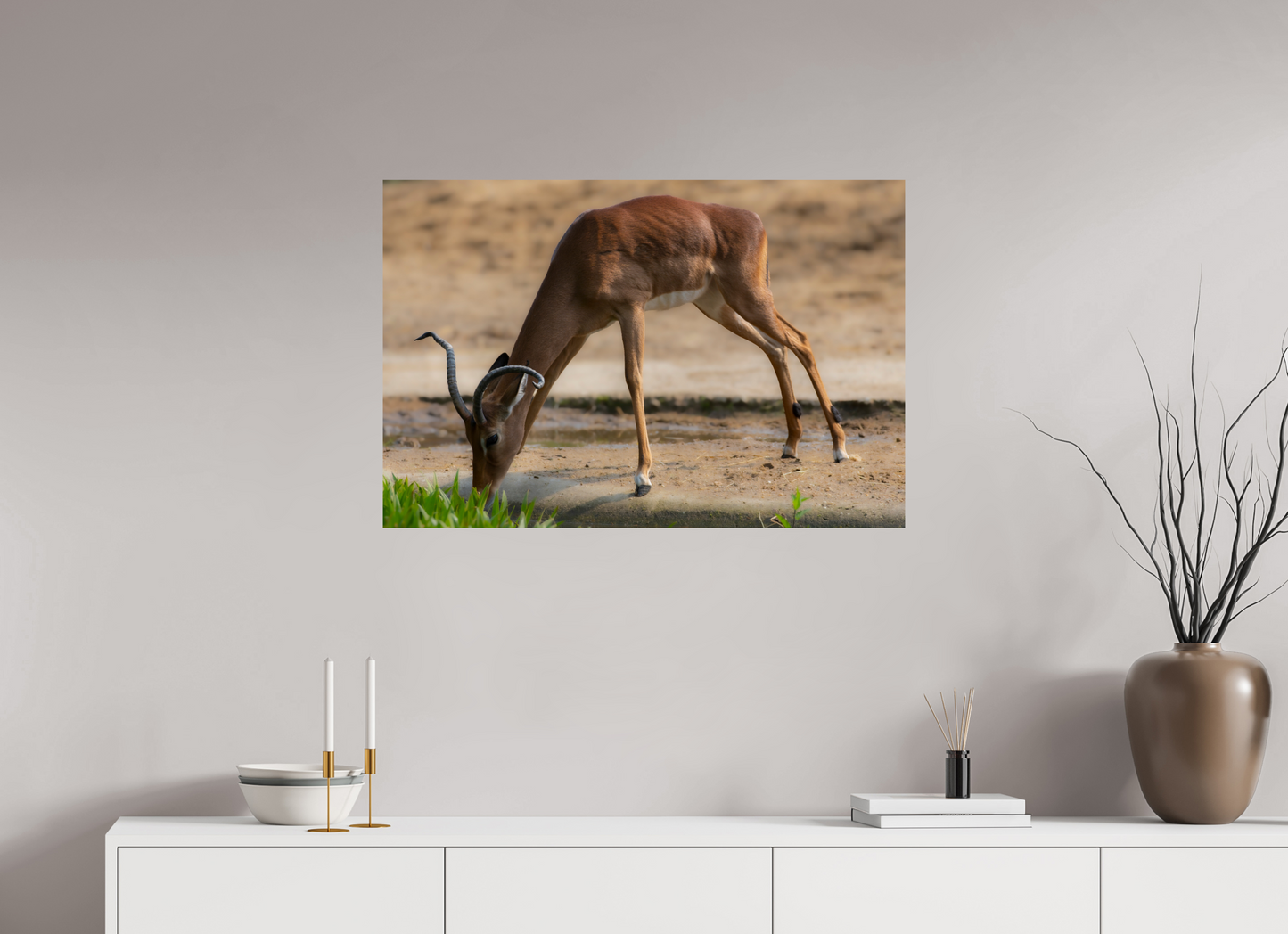 Impala aan het water (Photo Print On Fuji Crystal DP II)