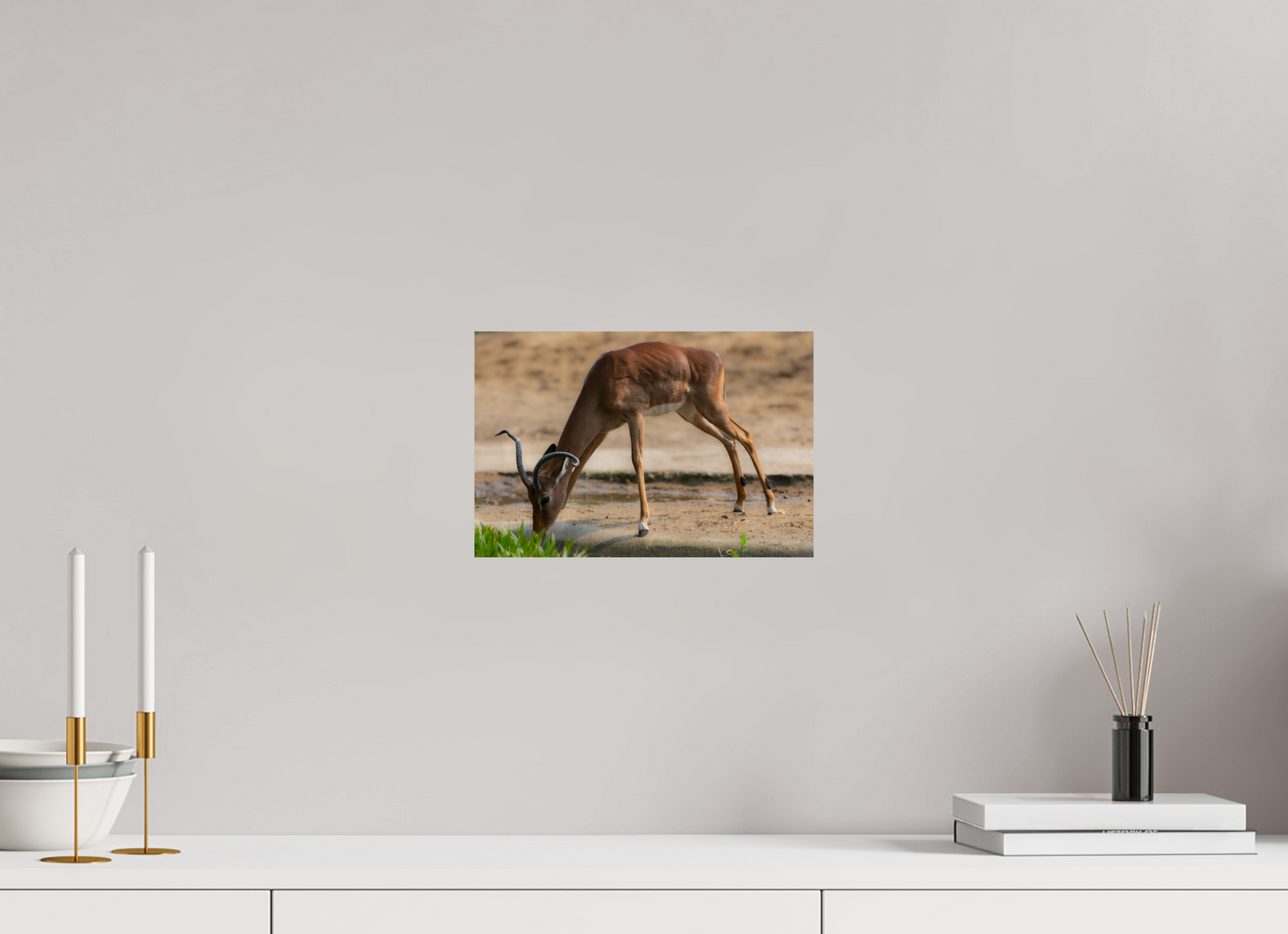 Impala aan het water (Photo Print On Fuji Crystal DP II)