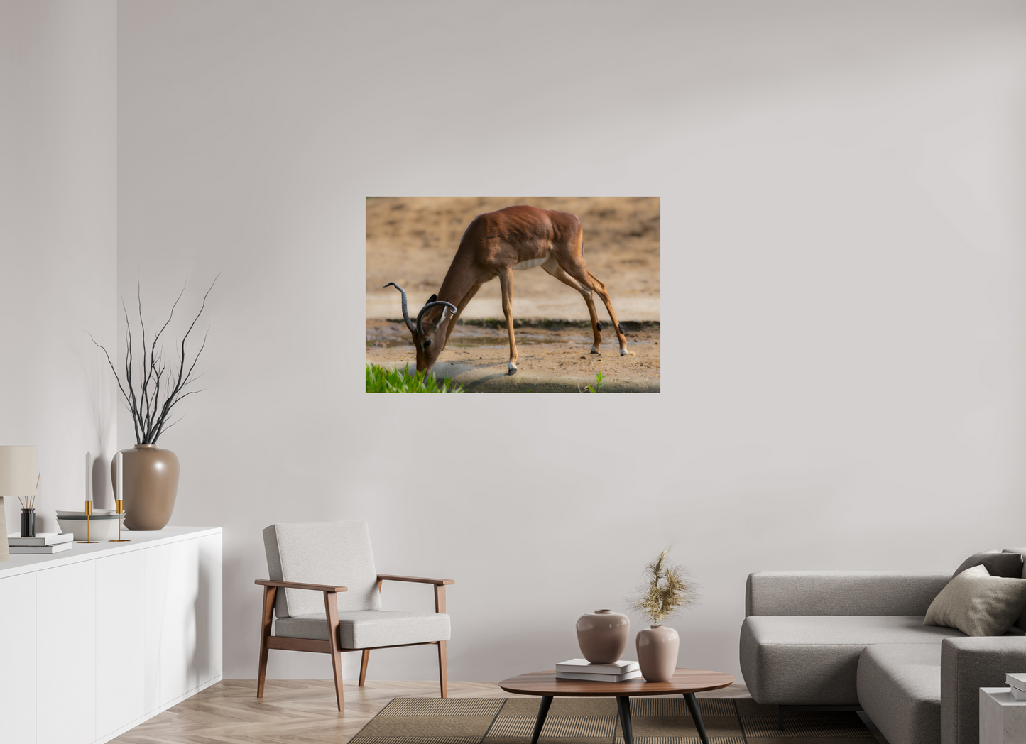 Impala aan het water (Photo Print On Fuji Crystal DP II)