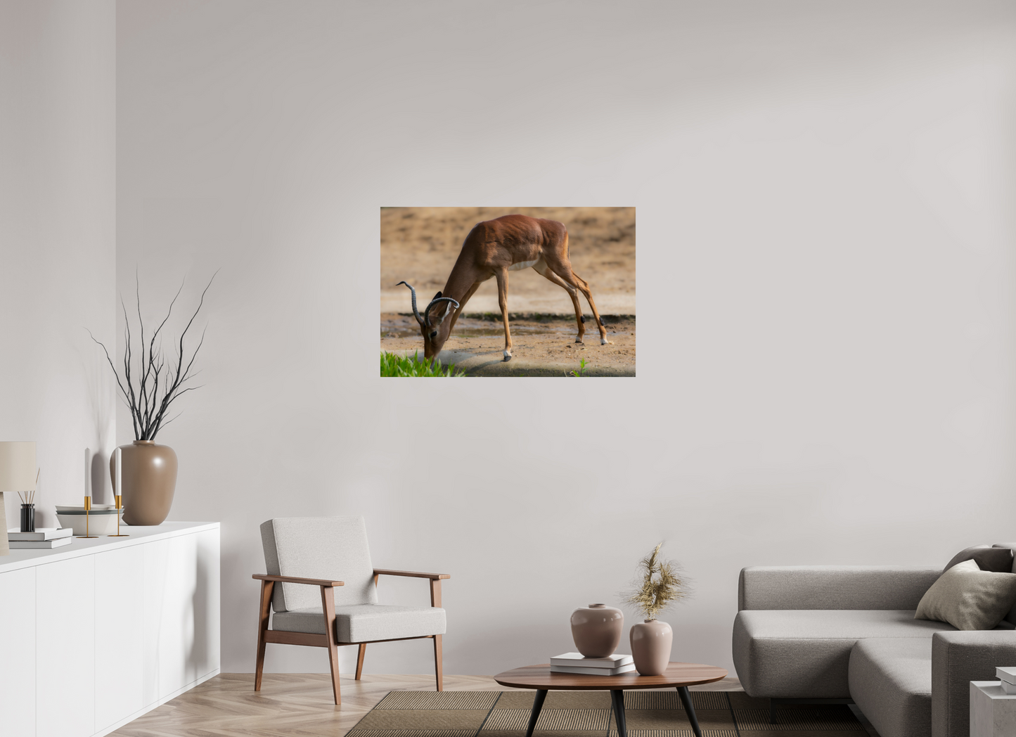 Impala aan het water (Photo Print On Fuji Crystal DP II)