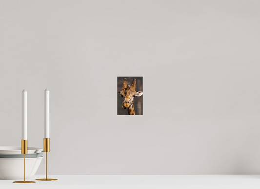 Portret van een Gigant (Photo Print On Fuji Crystal DP II)