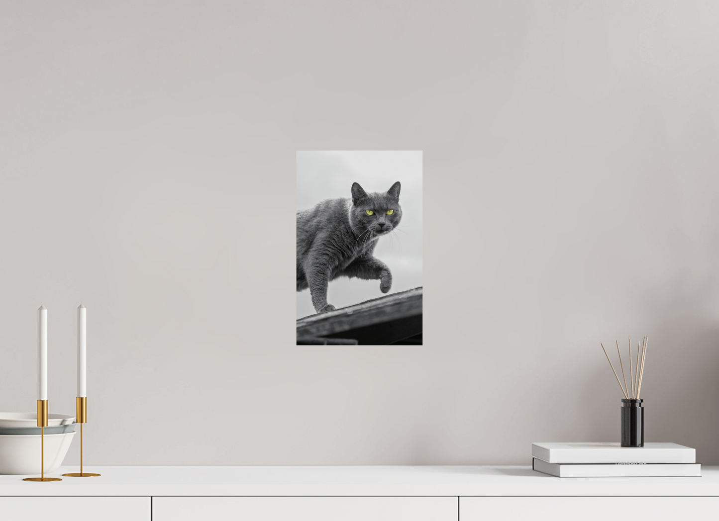 Grijze Kat Print | Kleurenspat Wanddecoratie Foto (Print On Fuji Crystal DP II)