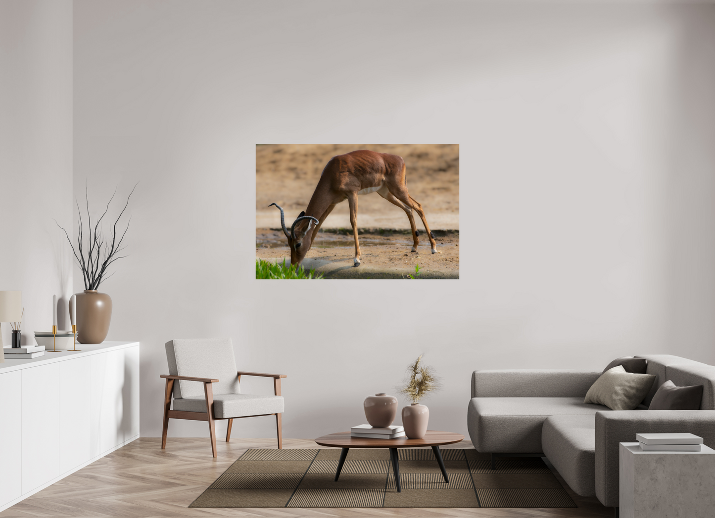 Impala aan het water (Photo Print On Fuji Crystal DP II)