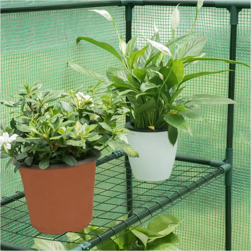 BukkitBow – Polytunnel Tuinkas – Winterproof Tunnel voor Groenten Teelt – Compacte Tuinkas met Groot Luik en 3 Bloemen Planken - 143x143x195CM