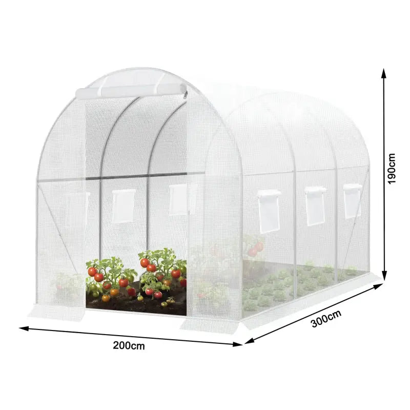 BukkitBow – Polytunnel Tuinkas – Winterproof Tunnel voor Groenten Teelt – Compacte Tuinkas met Deur en 6 Ramen - 300X200X190CM