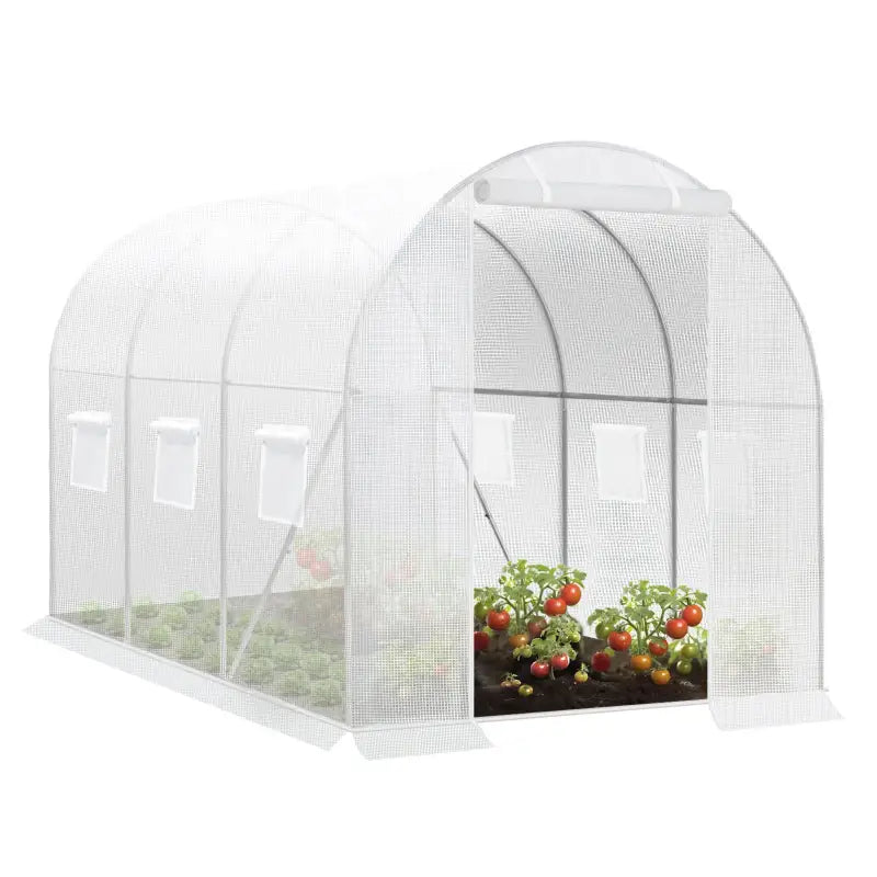 BukkitBow – Polytunnel Tuinkas – Winterproof Tunnel voor Groenten Teelt – Compacte Tuinkas met Deur en 6 Ramen - 300X200X190CM