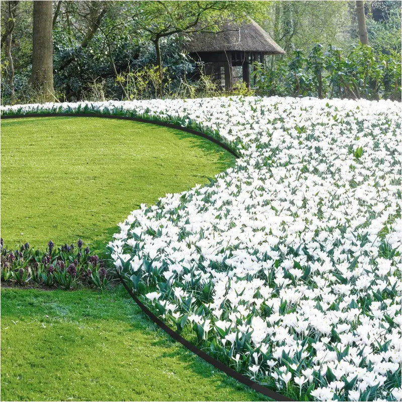 BukkitBow - Tuinrand / Gazonrand - Flexibele Borderrand - UV- en Weersbestendig - Diverse Kleuren - 2x 10m Lang - met Montage Materiaal