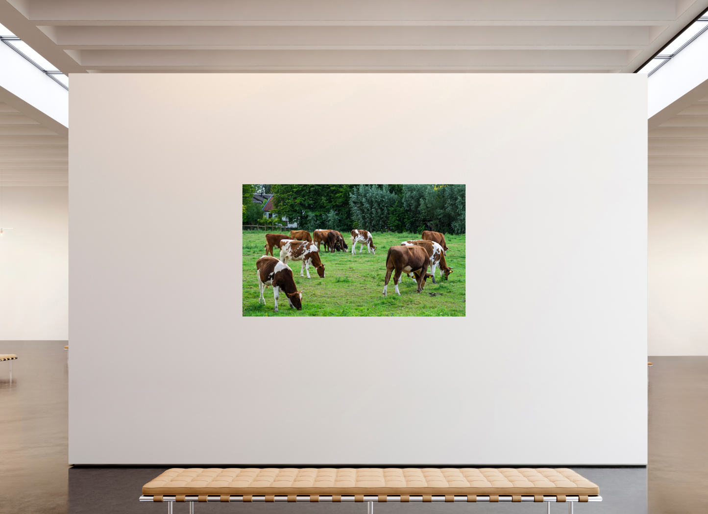 Koeien in de Wei Print | Boerderij Muurkunst (Photo Print On Fuji Crystal DP II)