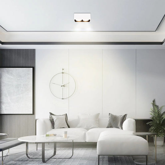 LED's Light Cube LED Plafondlamp - 2 lichtpunten - Draaibaar licht - Staal - 20 x 8 cm - Wit