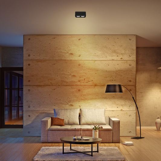 LED's Light Cube LED Plafondlamp - 2 lichtpunten - Draaibaar licht - Staal - 20 x 8 cm - Zwart