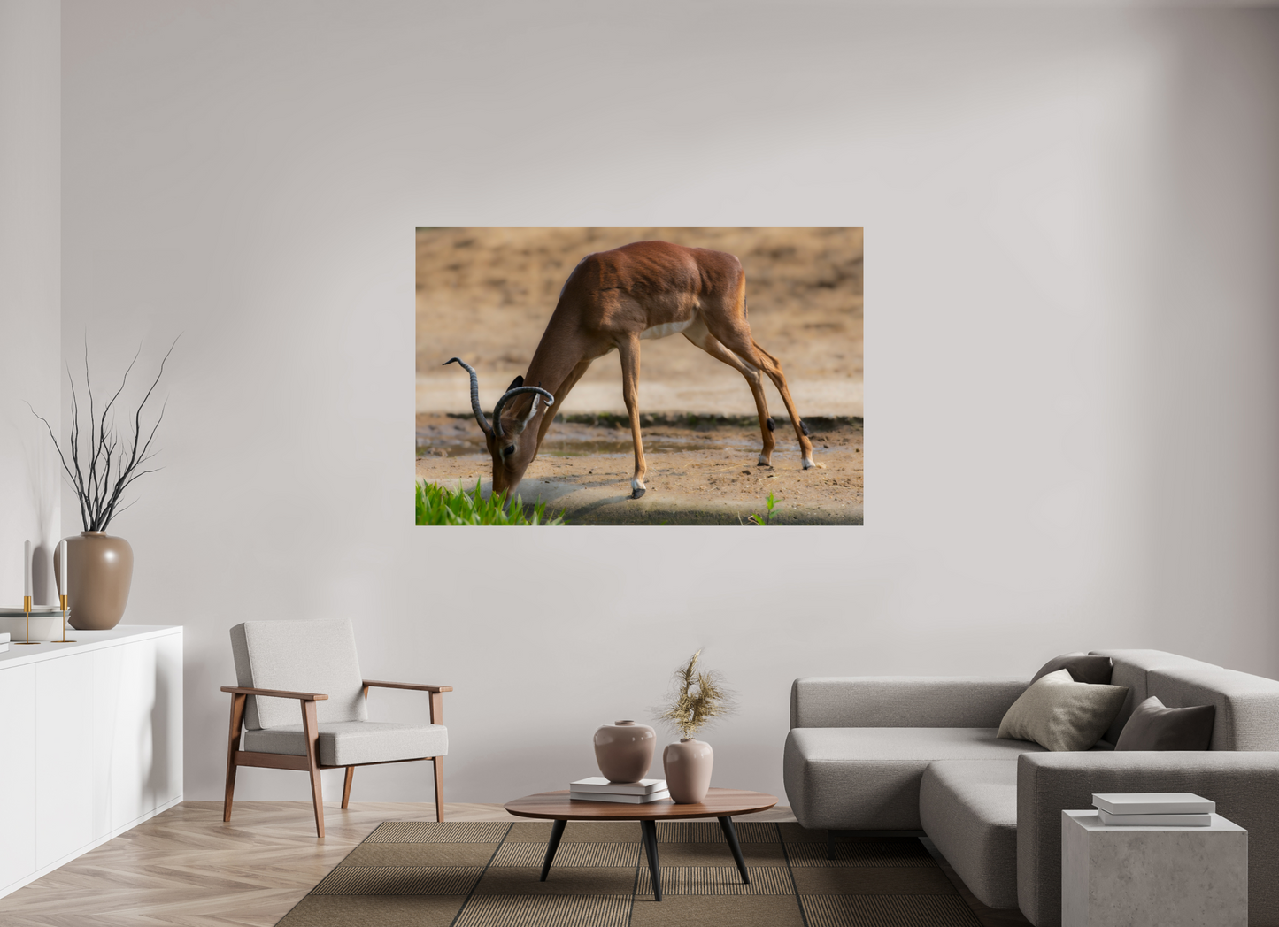 Impala aan het water (Photo Print On Fuji Crystal DP II)