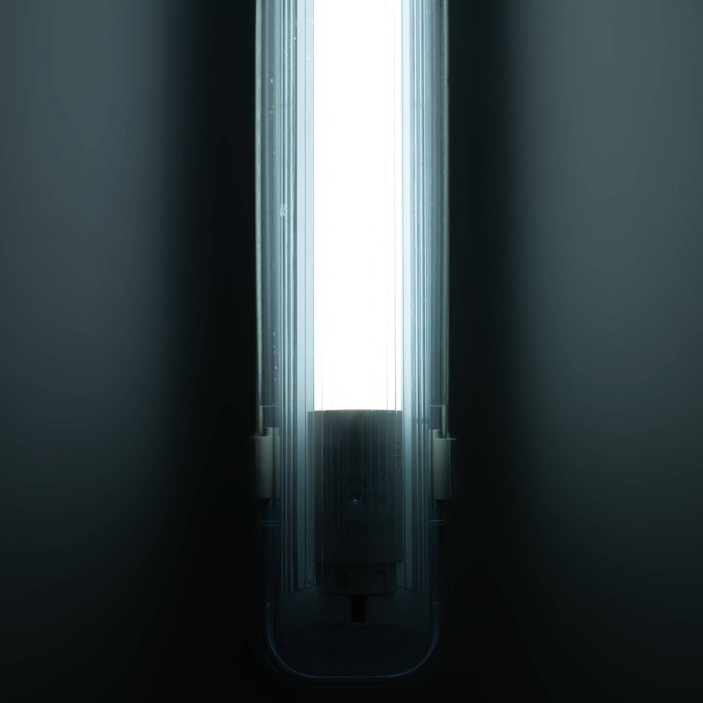 LED's Light Universele TL buis LED 120 cm met starter - Warm wit licht (3000K) - 1850 lm