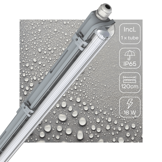 LED's Light LED TL armatuur met lamp 120 cm - Koud wit licht 6500 K - Waterdicht - Complete set