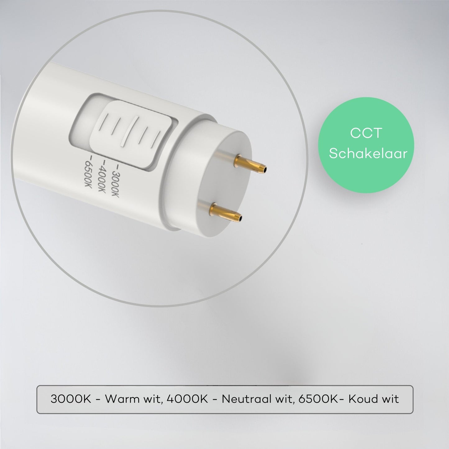 LED's Light LED TL verlichting compleet met LED TL buis 120 cm - 3 lichtkleuren - 18W (36W)