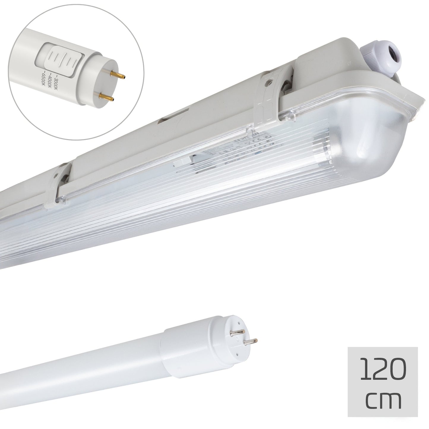 LED's Light LED TL verlichting compleet met LED TL buis 120 cm - 3 lichtkleuren - 18W (36W)