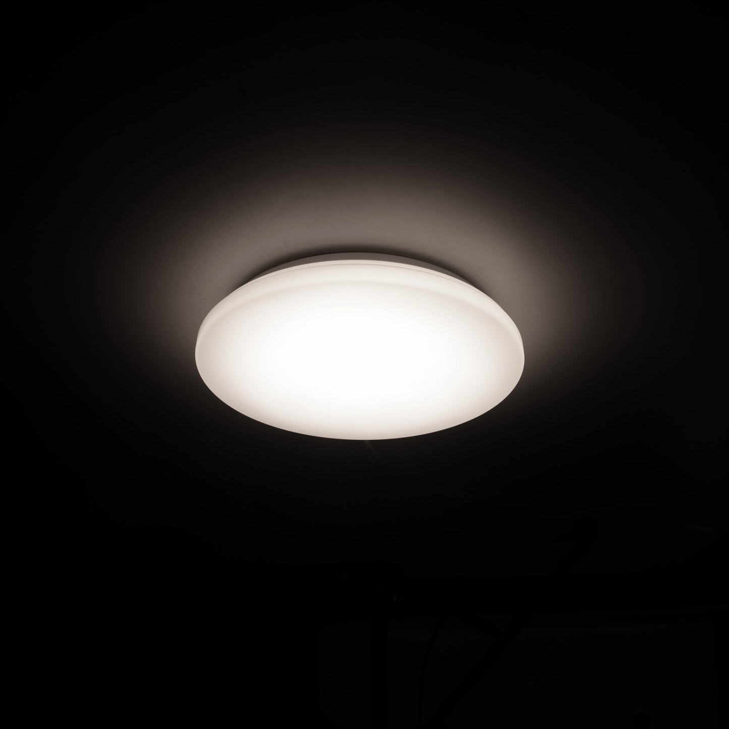 LED's Light Universele Plafondlamp 1200 - Ø 27 cm - Koel wit (4000K) - Spatwaterdicht IP44