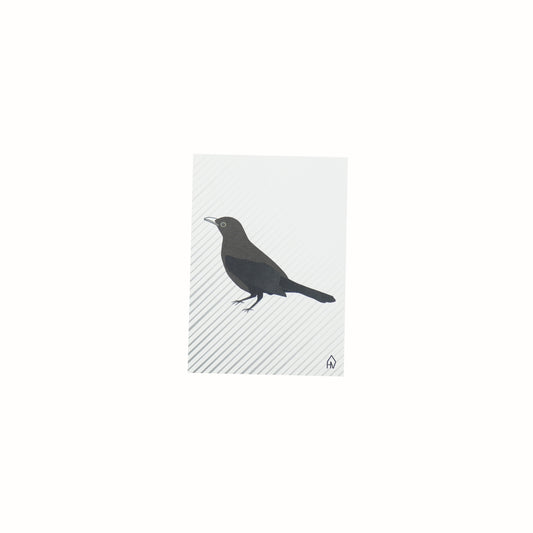 Ansichtkaart - Merel - Papier - Set van 5 - A6