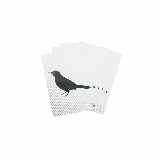 Ansichtkaart - Merel - Papier - Set van 5 - A6