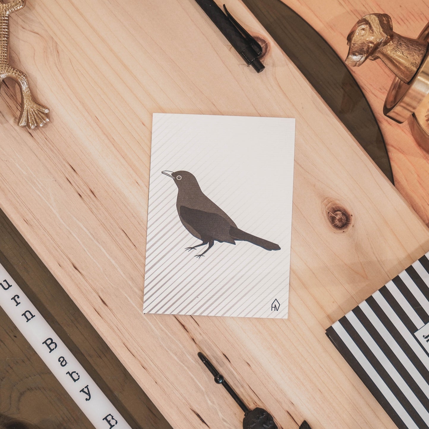 Ansichtkaart - Merel - Papier - Set van 5 - A6