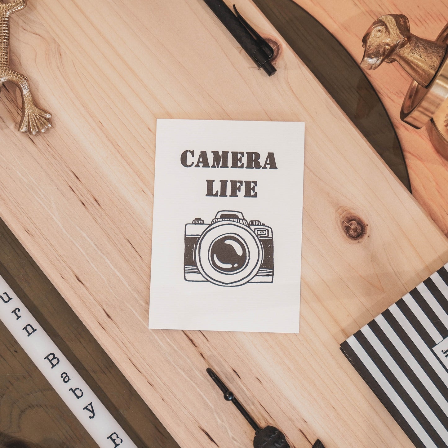 Ansichtkaart - Camera Life - Papier - Set van 5 - A6