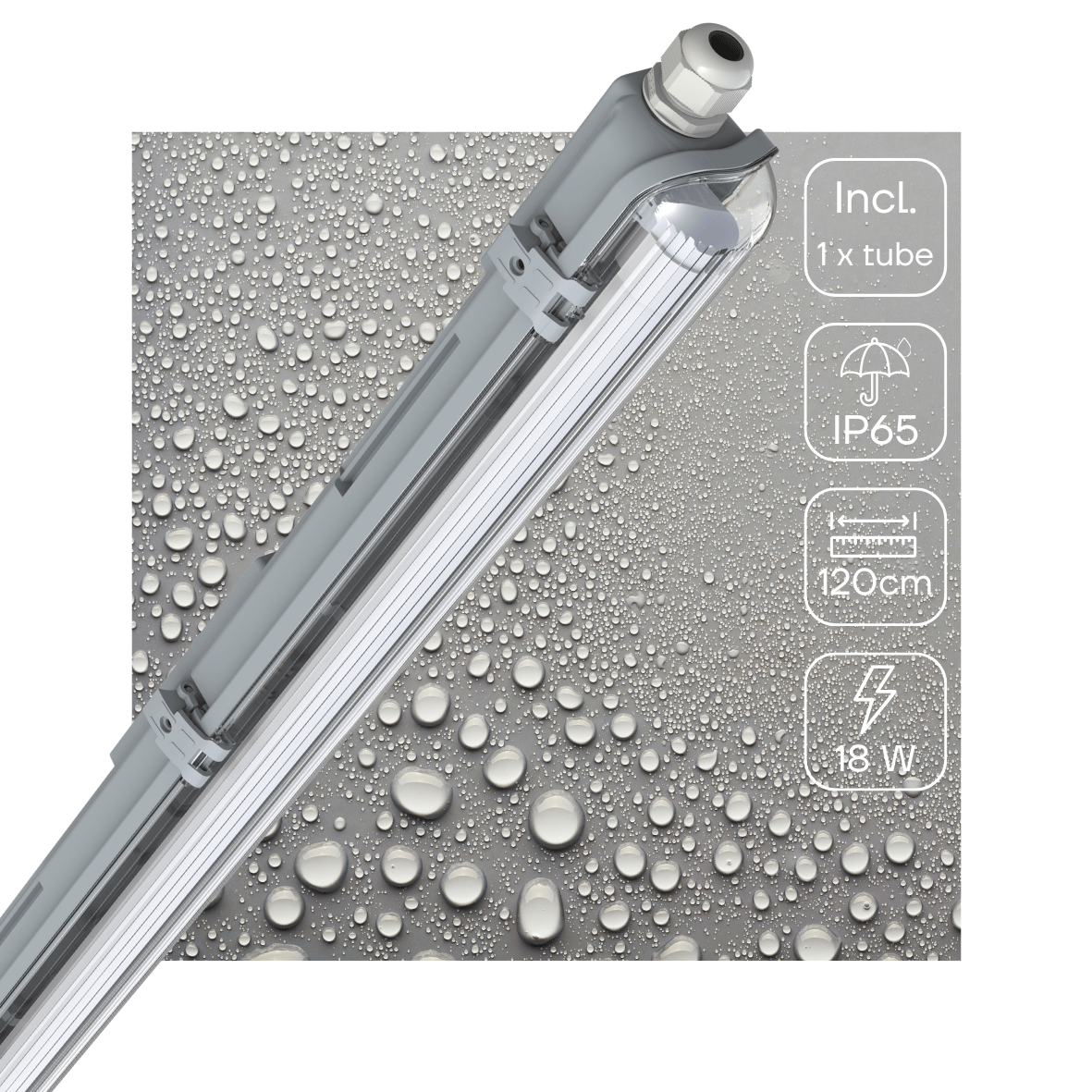 LED's Light LED TL armatuur met lamp 120 cm - Koud wit licht 6500 K - Waterdicht - Complete set