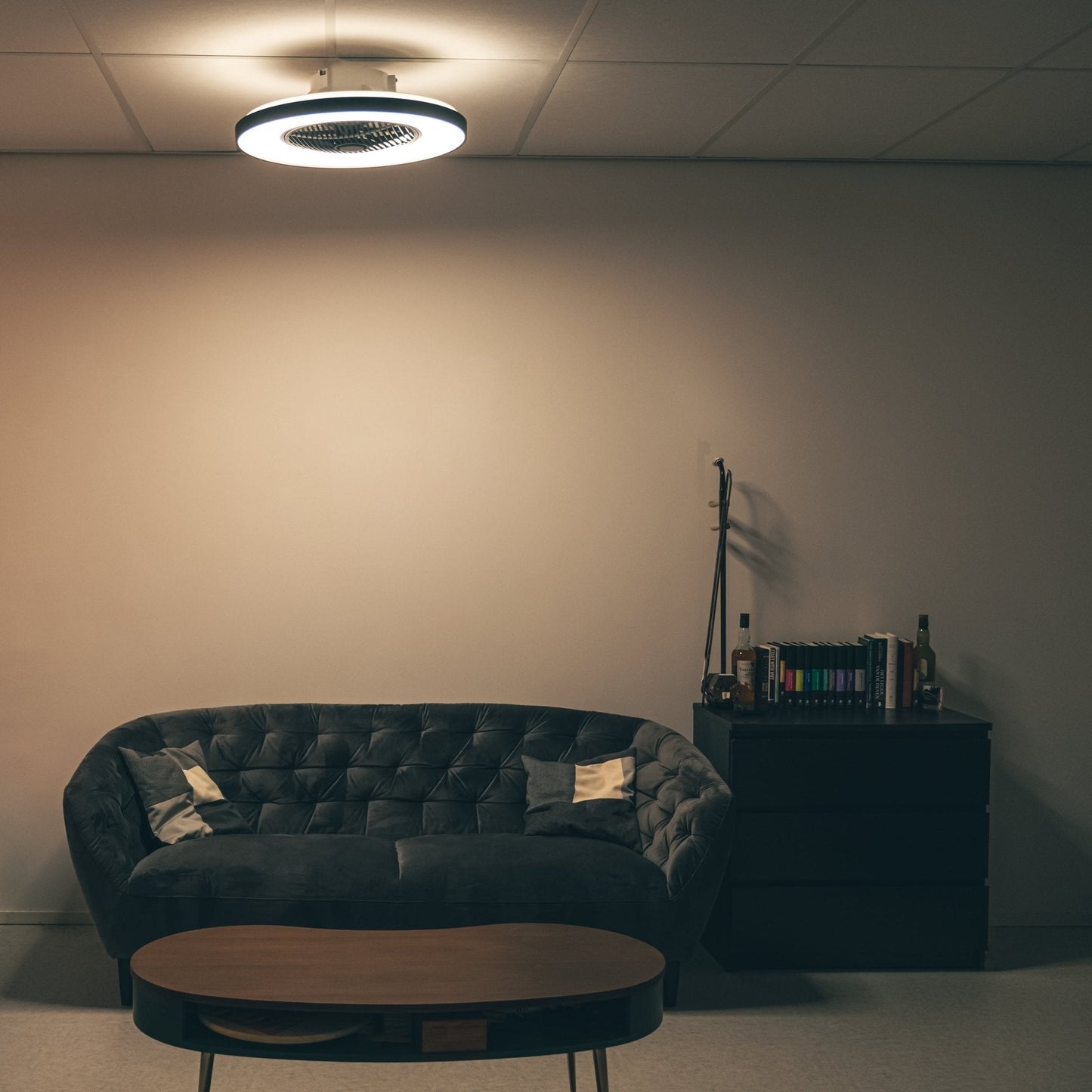 Proventa Premium Plafondventilator met lamp 60 cm - Zomer- en winterstand met afstandsbediening - Zwart