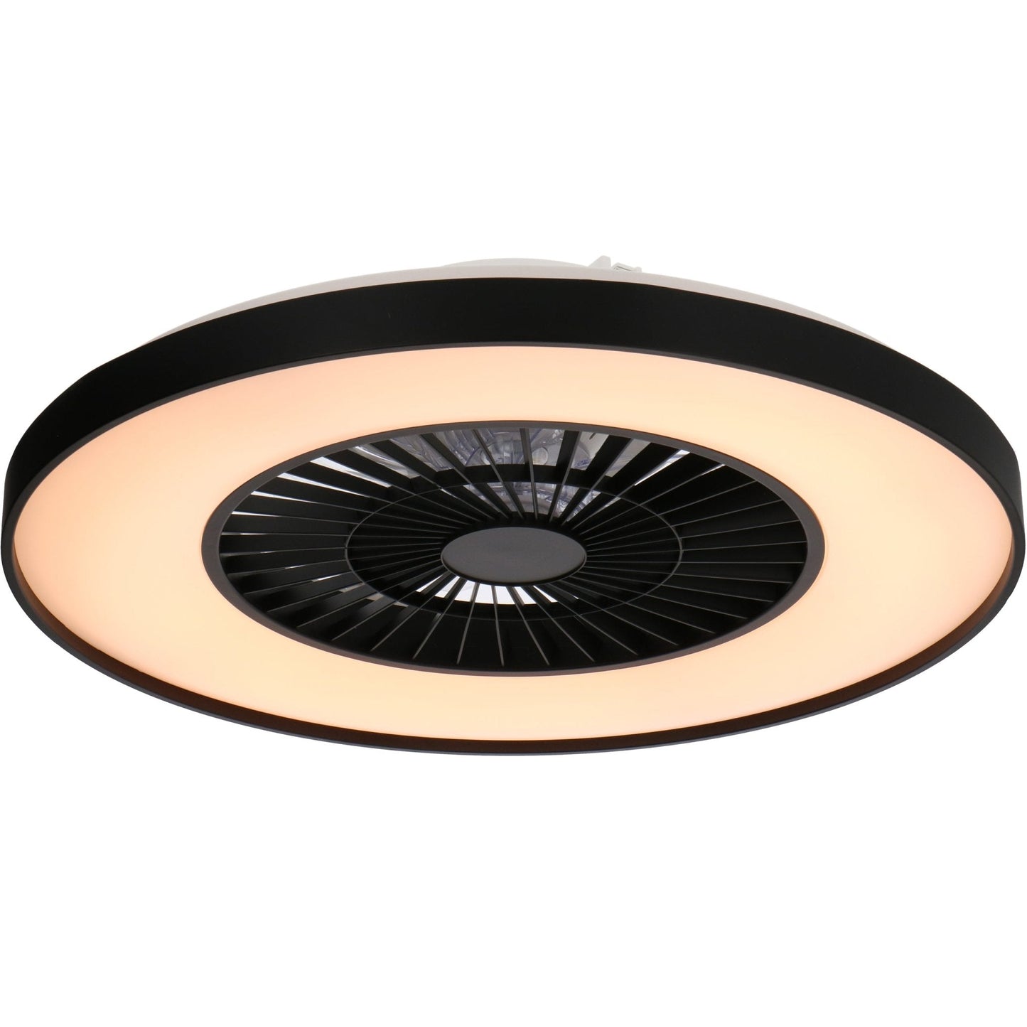 Proventa Premium Plafondventilator met lamp 60 cm - Zomer- en winterstand met afstandsbediening - Zwart