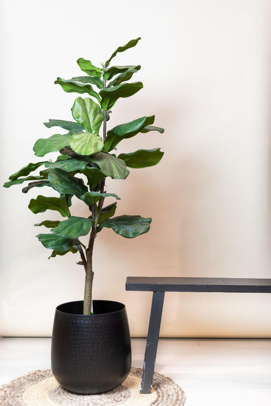 Kunstplant - Ficus Lyrata - 120cm