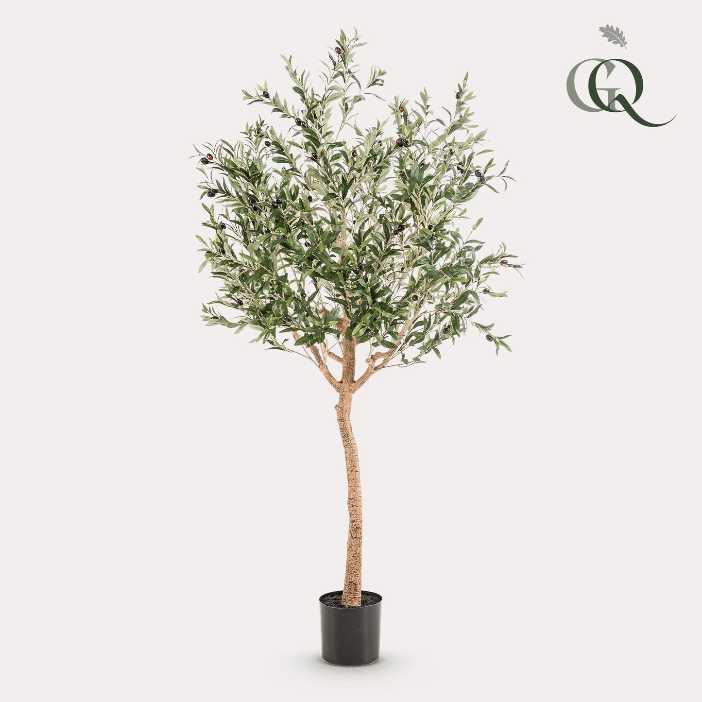 Kunst Olijfboom -  Olea europaea - 180cm
