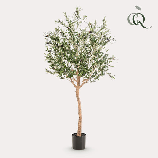 Kunst Olijfboom -  Olea europaea - 180cm