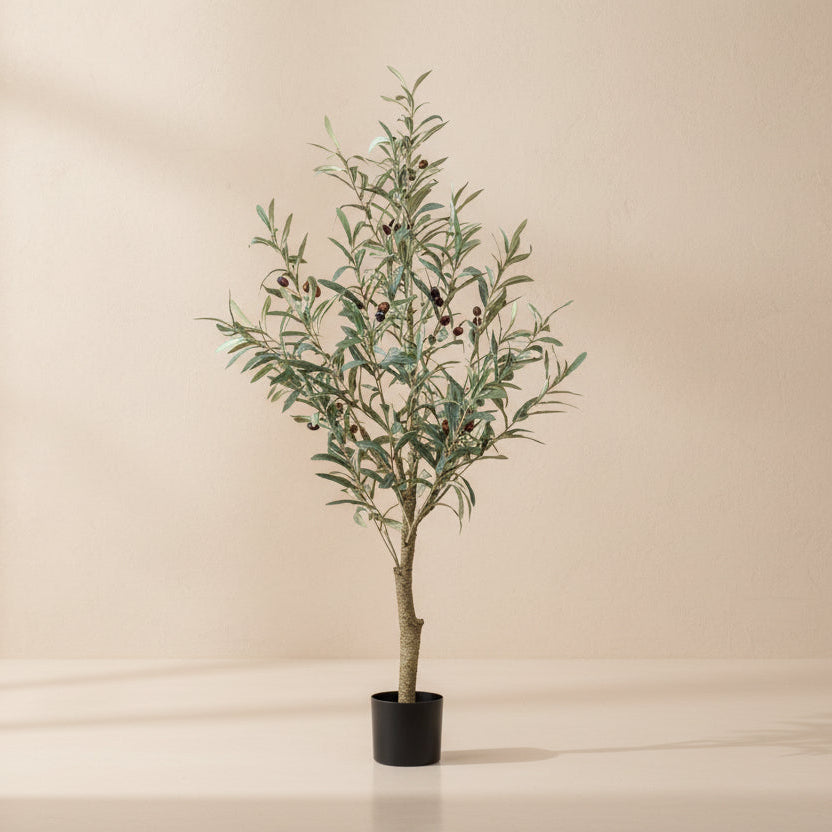 Kunst Olijfboom -  Olea europaea - 115cm