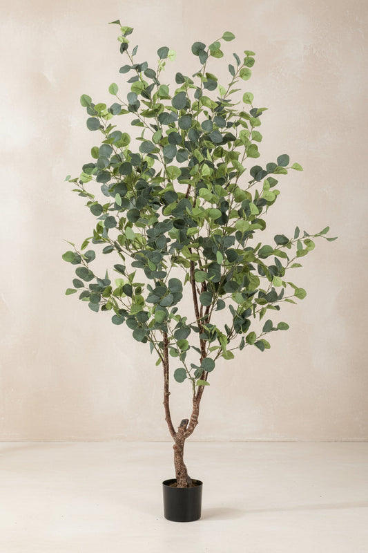 Kunstplant - Eucalyptus - Blauwe Gomboom  - 180cm