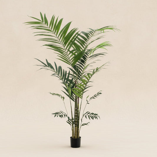 Kunstplant -Kentiapalm - 210cm