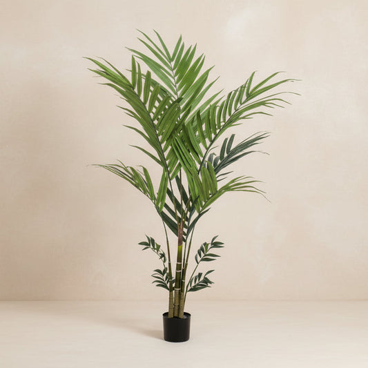 Kunstplant -Kentiapalm - 180cm