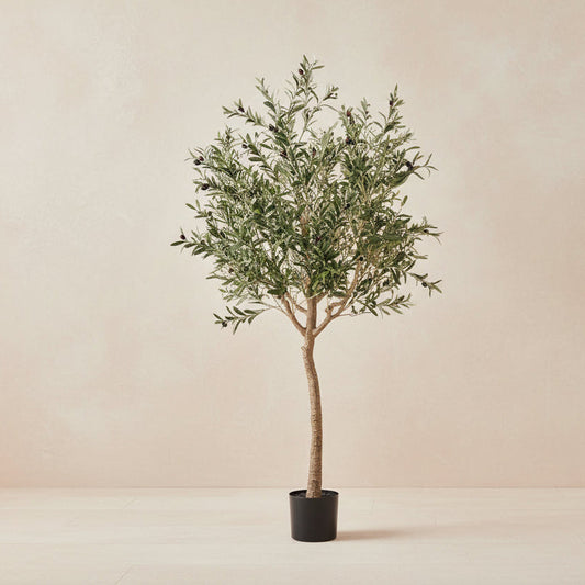 Kunst Olijfboom -  Olea europaea - 180cm