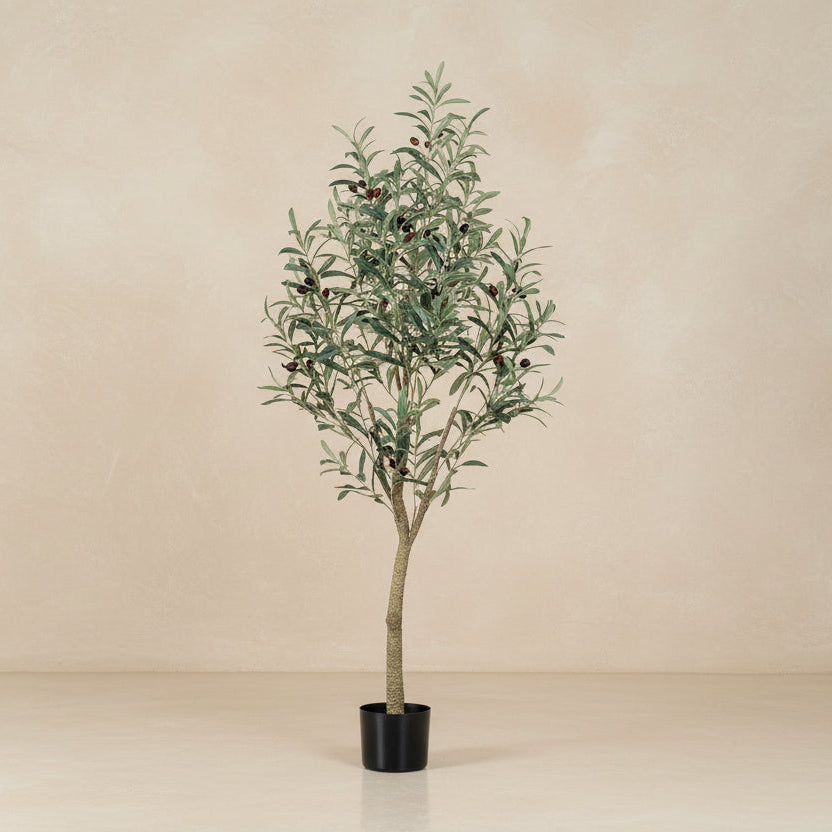 Kunst Olijfboom -  Olea europaea - Olijfboom - 140cm