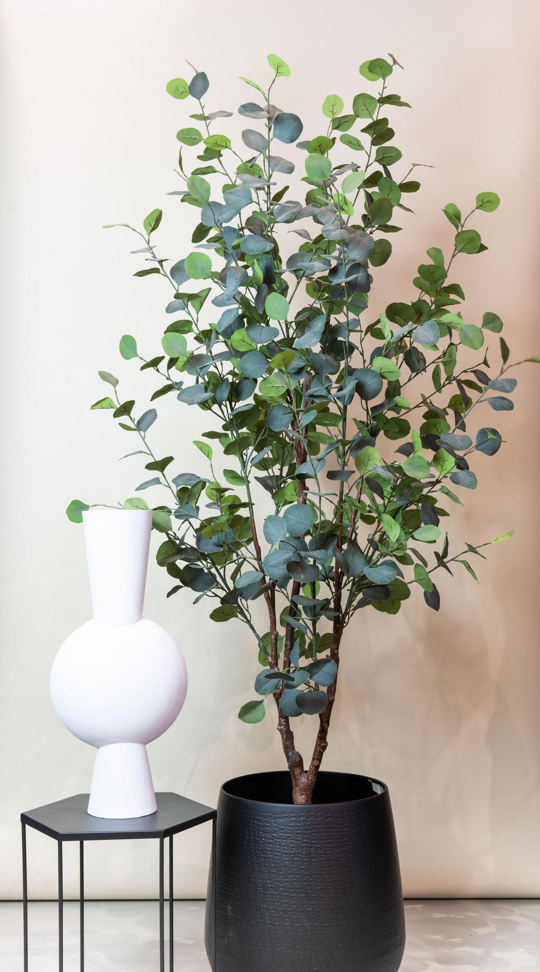 Kunstplant - Eucalyptus - Blauwe Gomboom  - 180cm