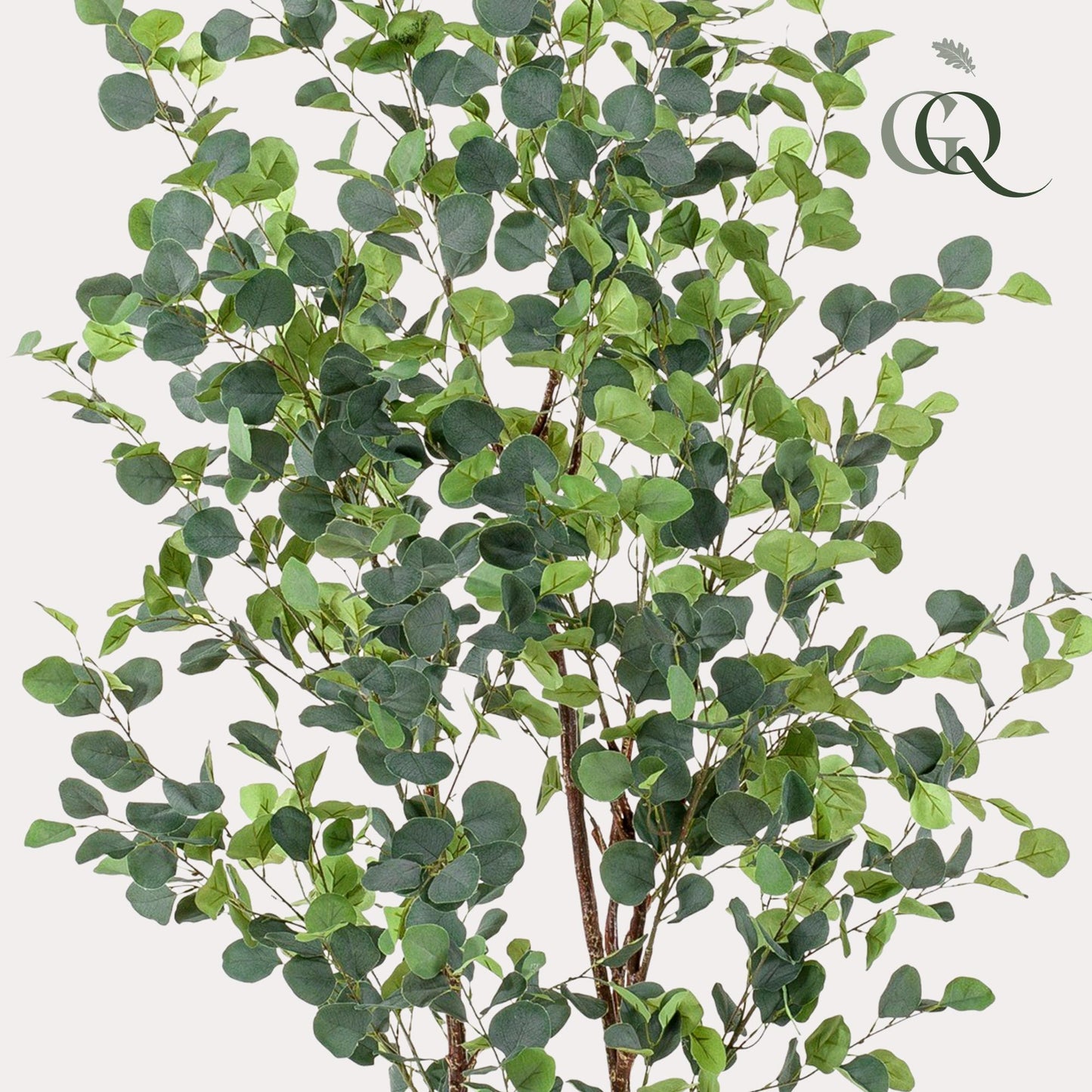 Kunstplant - Eucalyptus - Blauwe Gomboom  - 180cm