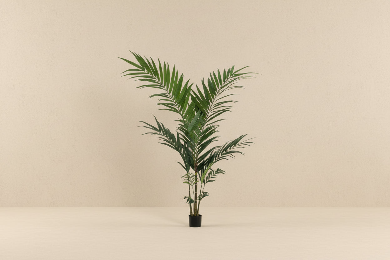 Kunstplant - Kentia -Kentiapalm - 150cm