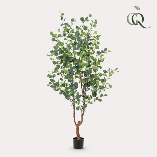 Kunstplant - Eucalyptus - Blauwe Gomboom  - 180cm