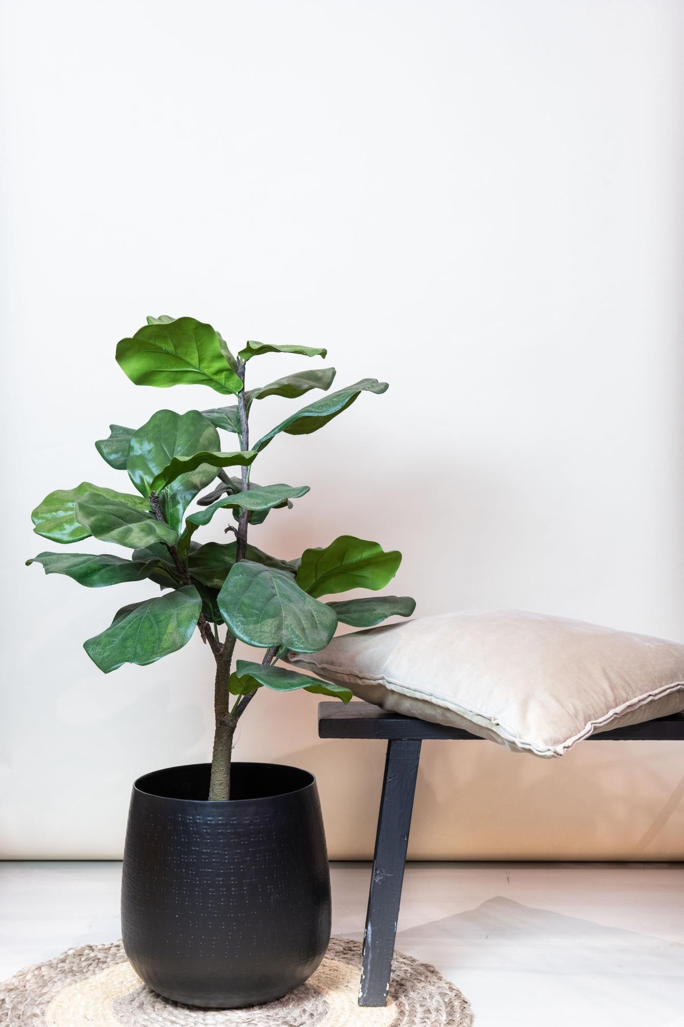 Kunstplant - Ficus Lyrata - 90cm